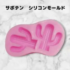 【迅速発送】サボテン　シリコンモールド