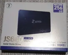 LEVEN JS600 256GB SSD