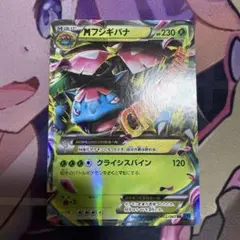 MフシギバナEX XY1