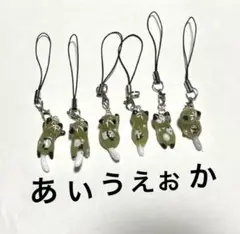 【No.267】 猫ちゃん　パンダちゃん