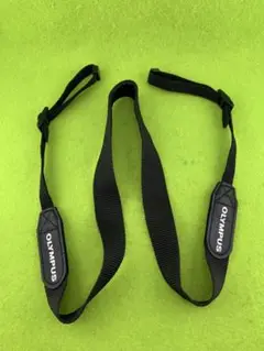 Item thumbnail for item 0ff1b3b0-f689-4862-a5bc-de4258c21f36