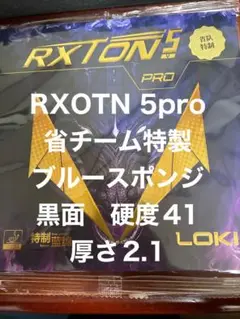 LOKI RXTON5 pro ブルースポンジ　硬度41 厚さ2.1 黒面