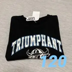 Item thumbnail for item 9d1eb14e-fe43-4a3f-8a40-b42d1883c9b7