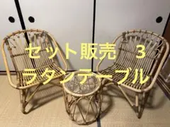 JUGLAS ユグラ ラウンドサイドテーブル ラタン
