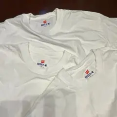 BEAUTY&YOUTH Hanes BEEFY-T 白 L 3枚セット