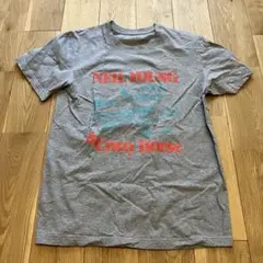 Neil Young Zuma シャツ Sサイズ