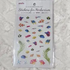アミファ　amifa ハーバリウム用シール　熱帯魚　1枚