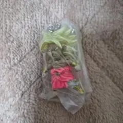 ドラゴンボール　キーホルダー ブロリー