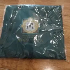 ミラコスタ、エコバッグ