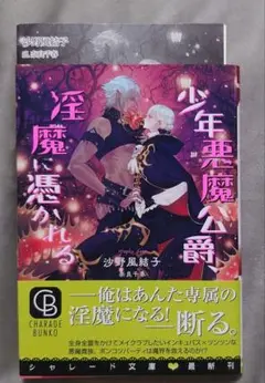 BL 少年悪魔公爵、淫魔に憑かれる【SS付き】
