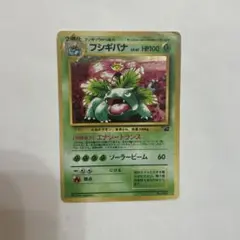 フシギバナ 旧裏