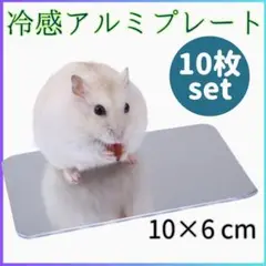 ▼10枚◎冷感 洗える ひんやりアルミプレート ハムスター 熱中症対策 おまとめ