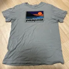 patagonia オーガニックコットン Tシャツ M