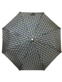 Item thumbnail for item 7ee2d217-0ba7-4c10-a40e-2ce2fd35c2e9
