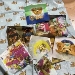 犬生地セットヨーキーチワワ