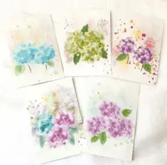 紫陽花　5枚セット　ポストカード　かわいい　梅雨　イラスト　デザイン　インテリア