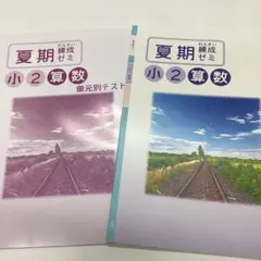 小２夏期錬成ゼミ算数国語合本　到達度テスト算数国語合本　小学２年　２冊セット