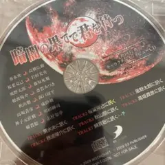暗闇の果てで君を待つ 初回特典 キャラクターインタビューCD