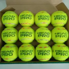 HEAD PRO 　硬式テニスボール　 12個入り