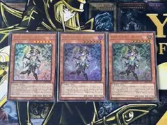 遊戯王　幻惑の見習い魔術師　ウルトラ　３枚