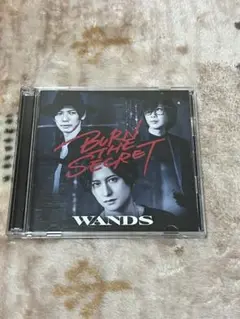 第5期 WANDS BURN THE SECRET 初回限定盤