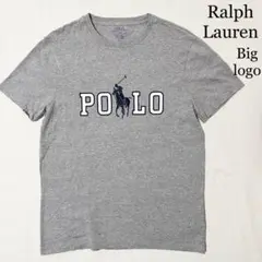 RALPH LAUREN ラルフローレン POLO プリント Tシャツ M