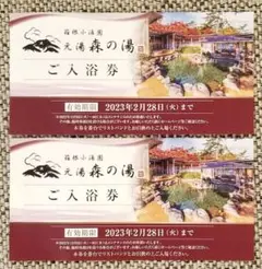 値下げ!【ご入浴券】箱根小涌園 元湯 森の湯/2名分