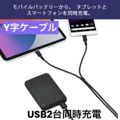 USBケーブル Y字 Type A to Type C+Type C 2台同時