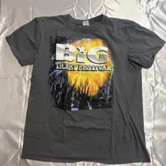 GILDAN FESTIVAL Tシャツ Lサイズ グレー　441
