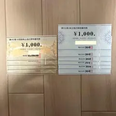 ビックカメラ 株主優待券10,000円分