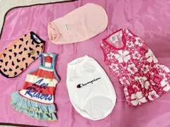 犬服  5点  お買得   used  美品