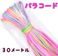 再入荷人気　パラコードレインボー　パステルカラー　30m淡いリード ハンドメイド