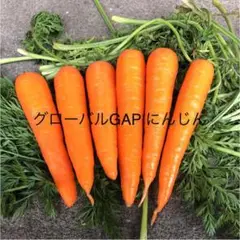 手のひらにんじん10キロ