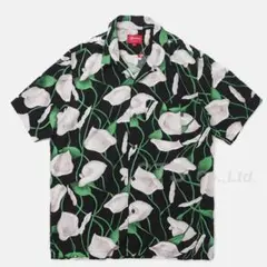 Item thumbnail for item 3b852439-558c-4e79-af38-ae7fd5d47796