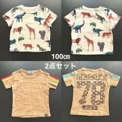 2点セット　kids Tシャツ（動物　恐竜、ブラウン）