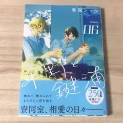 新品　平野と鍵浦　6巻
