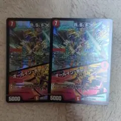 RSFK オールインチャージャー　2枚