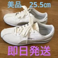 Item thumbnail for item a8cf3883-4801-428f-9568-9e8bf7066948