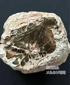 Item thumbnail for item 1695b62a-f613-45d4-a5bd-63b41379eaaa