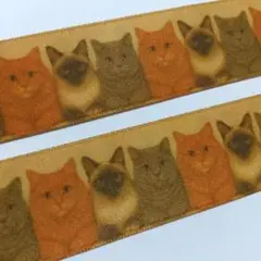 Item thumbnail for item c55edf2a-14ad-4d60-8eac-79d209beae38