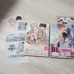 BとLの間には　待って、今きゅんとした。　特典　アニメイト　小冊子　とらのあな