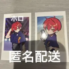 CRフェス　チェキ　cpt レア　ノーマル　ホロ