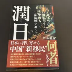 潤日(ルンリィー) : 日本へ大脱出する中国人富裕層を追う