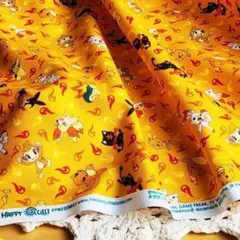 ポケモン/ほのおタイプ【40×55cm】　布/生地/はぎれ