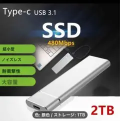 ポータブルSSD USB 3.1 Type-C SSD 1TB 銀色