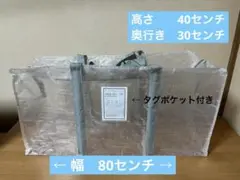 3coins⭐️『たっぷり！透明収納ケース』⭐️サイズ：80×40×30cm