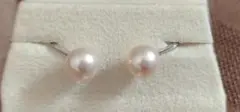 本真珠イヤリング 8.16mm シルバー ネジ式 ヴィンテージ