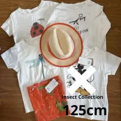 新品未使用品　Insect Collection インセクトコレクション