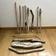 Item thumbnail for item 8e2d460a-158a-4238-a2d4-3861edc285d1