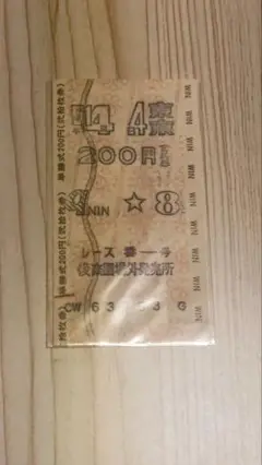 【貴重】第43回　東京優駿（日本ダービー）トウショウボーイ2着　馬券
